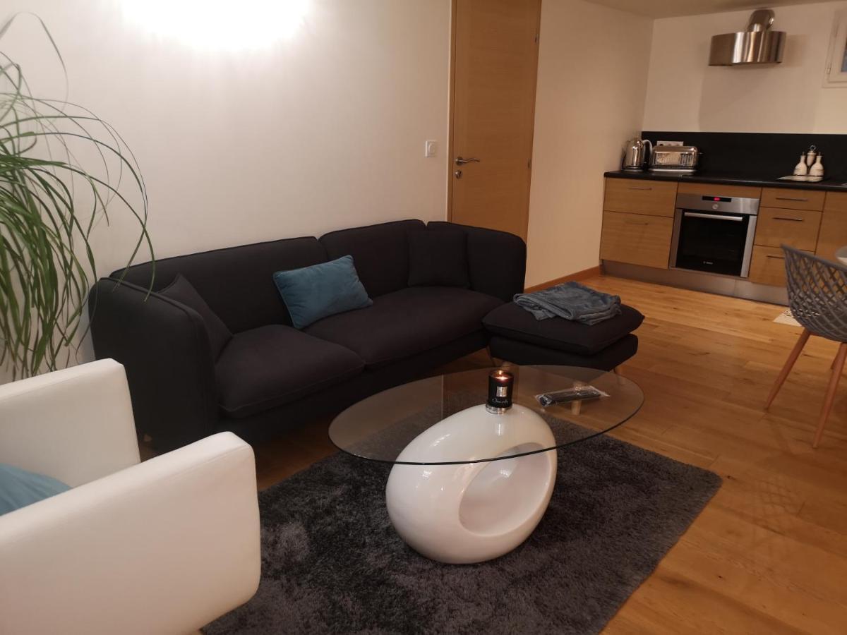 Tres Bel Appartement Avec Vue Sur Les Montagnes Saint Ismier Dış mekan fotoğraf